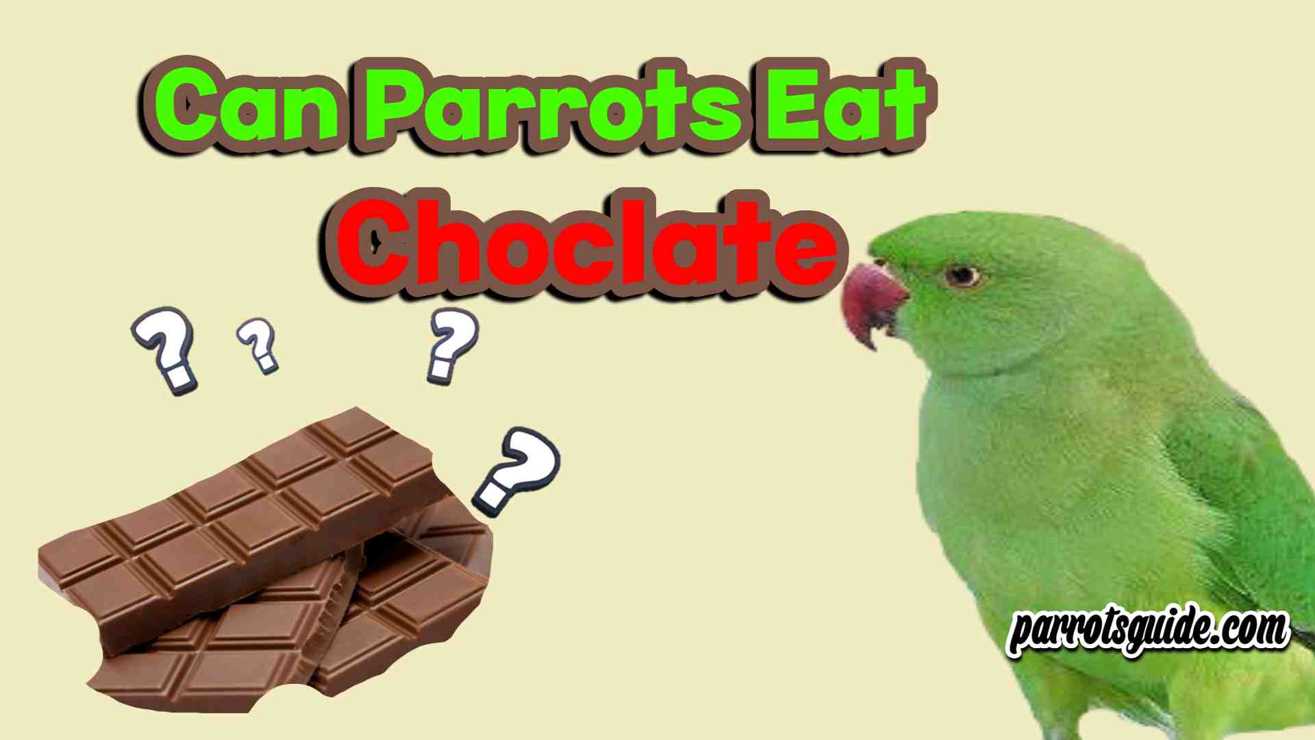 Can parrots eat chocolate?