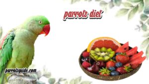 Can parrots eat cherries?