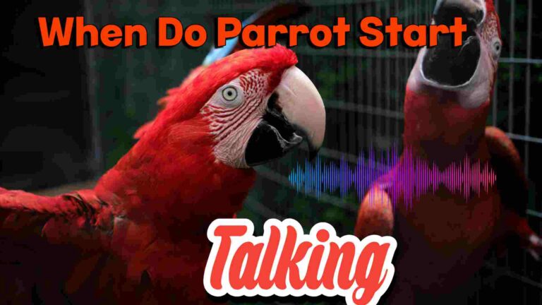 When Parrots Start Talking?