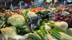 fruit and vegetables for parrot