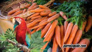 Are Carrots Good for Parrots?