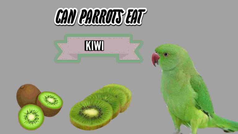 Can parrots eat kiwi?