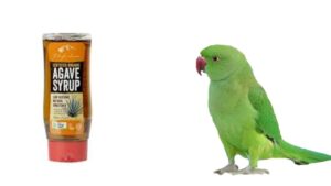 Safe Sweeteners for Parrots