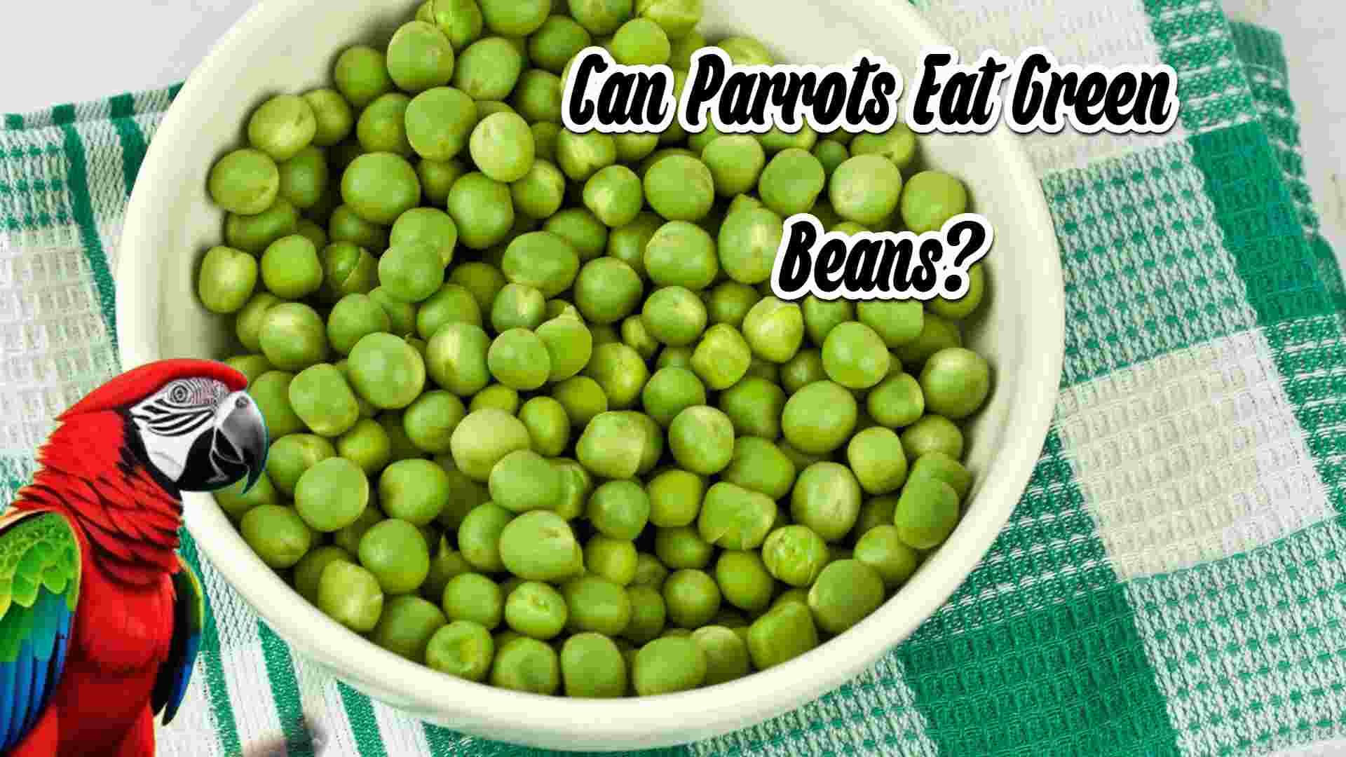 Can Parrots Eat Green Beans?